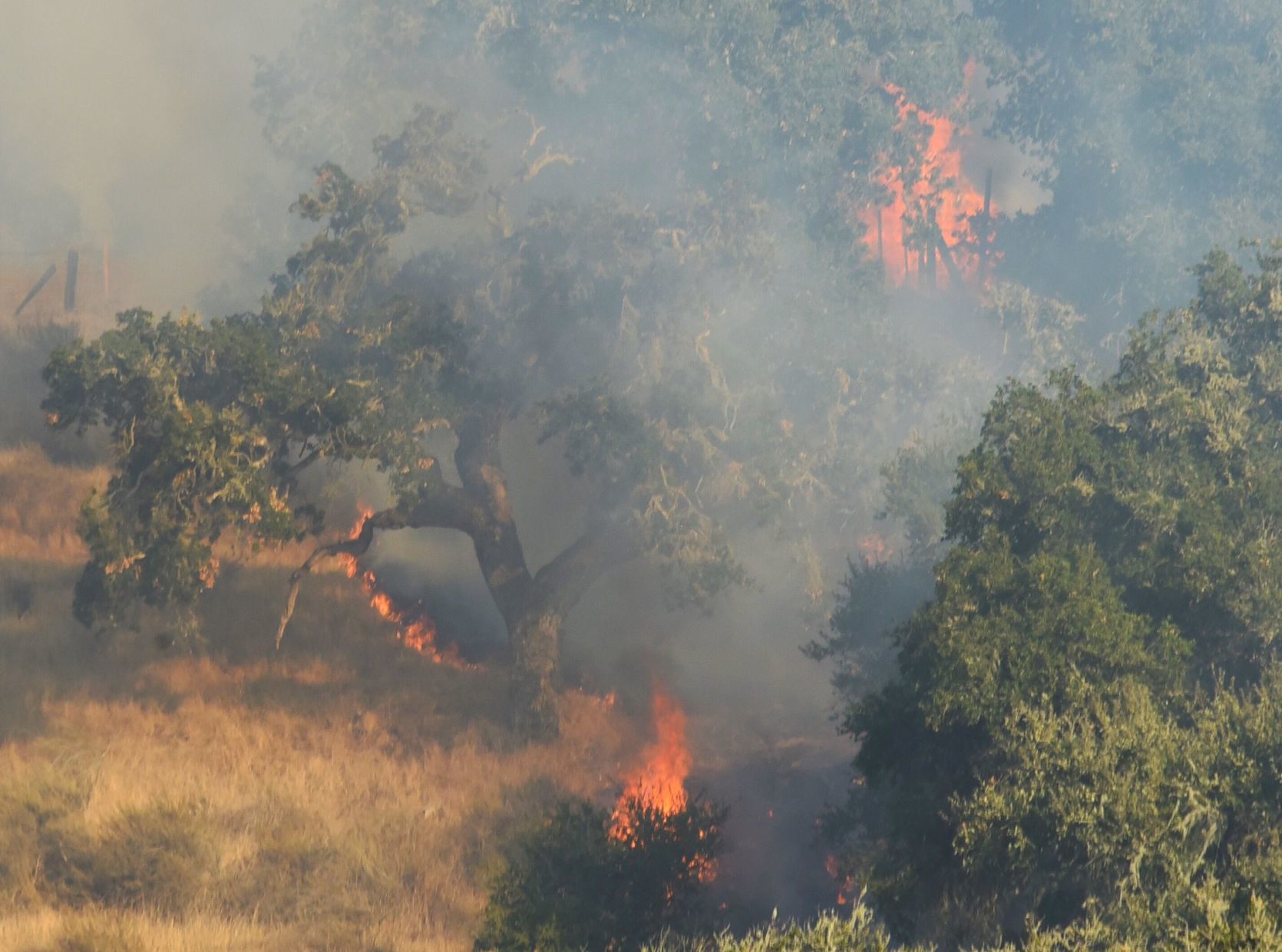 McMuuray Vegetation Fire